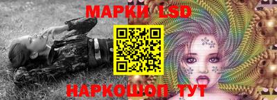 гашик Дмитров