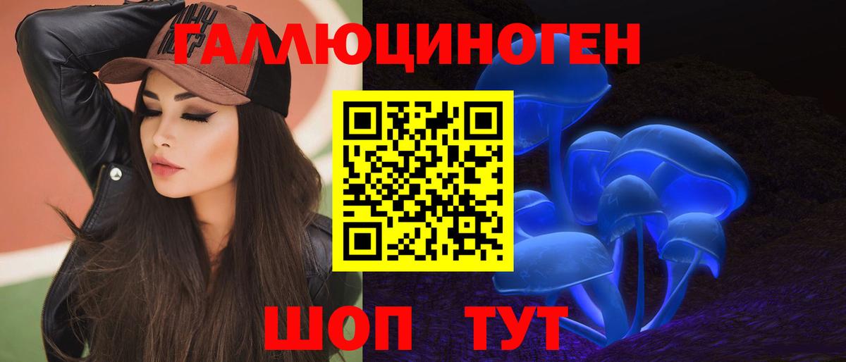 Псилоцибиновые грибы Psilocybe Гатчина