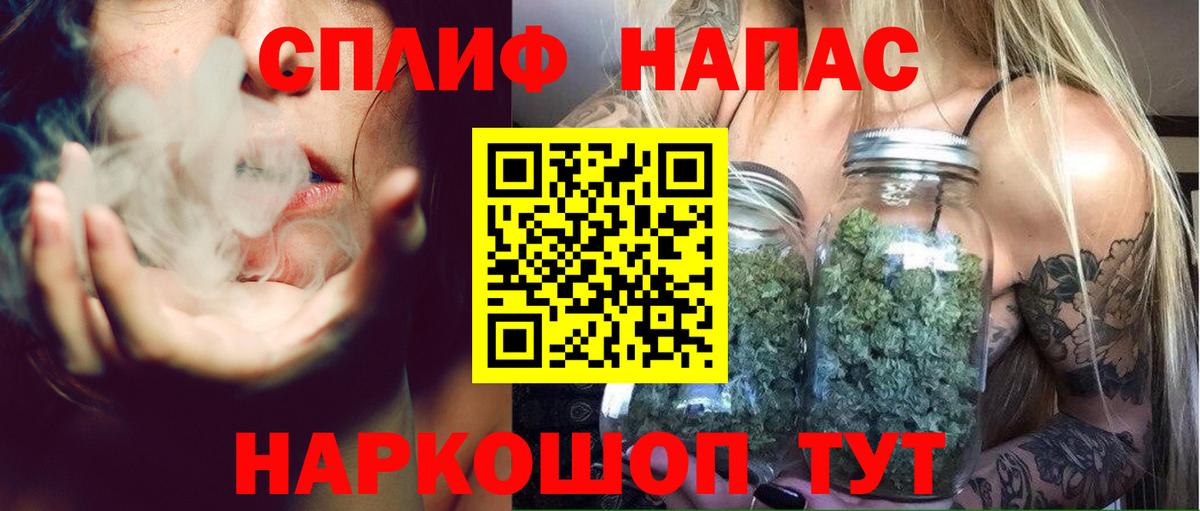 Конопля White Widow  Каннабис White Widow  Гатчина  Вход с VPN 